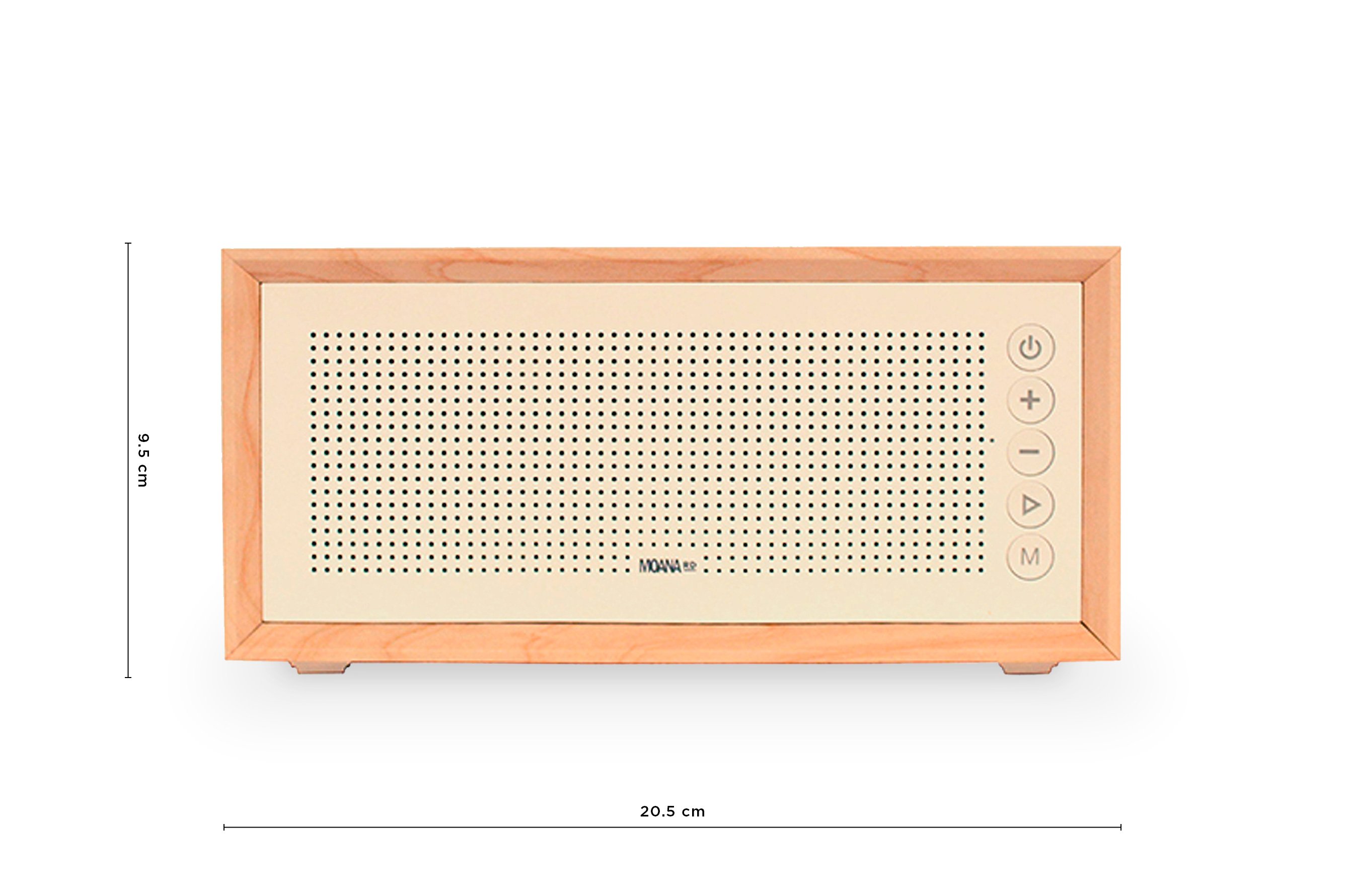 Vintage Bluetooth Speaker 4